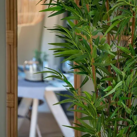 Ohana - Private Garden - Close To Local Lake, Dunes And *