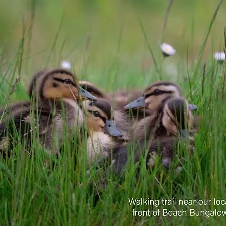 Ohana - Private Garden - Close To Local Lake, Dunes And