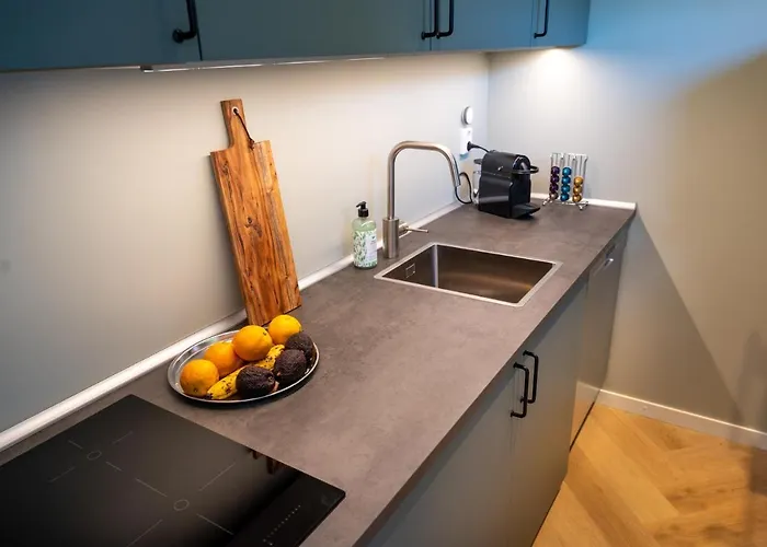 Ohana - Private Garden - Close To Local Lake, Dunes And * Noordwijkerhout